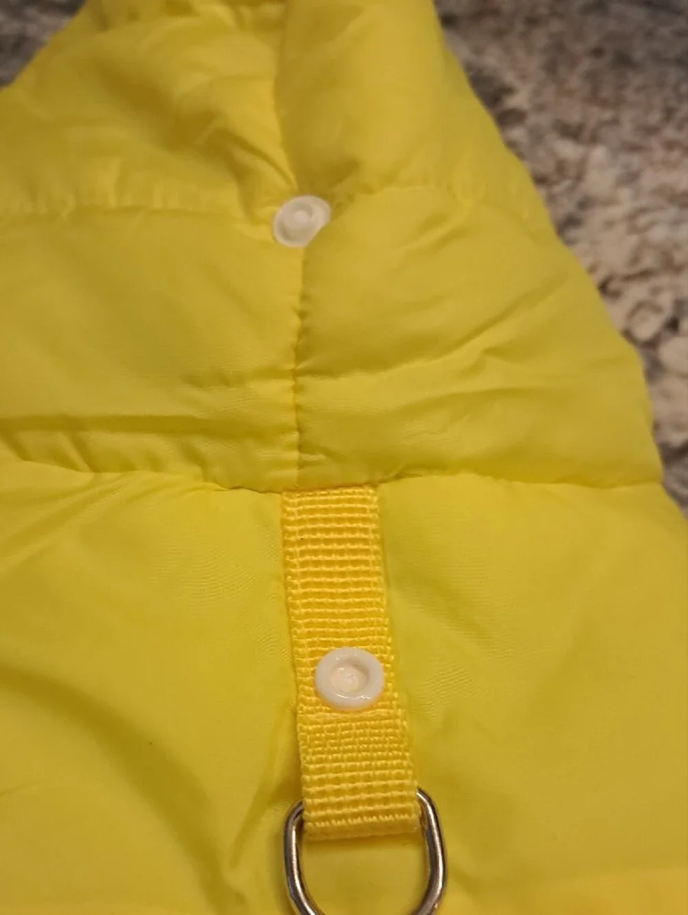 Yellow & Light Blue Insulated Hooded Dog Coat